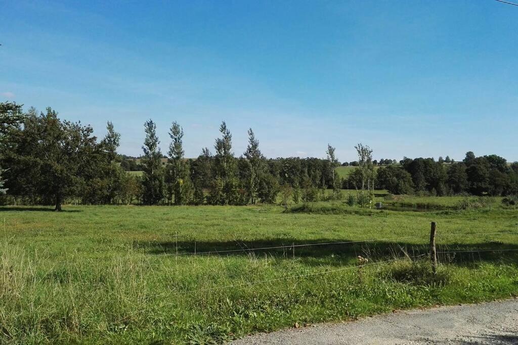 Ferienwohnung In Mittelsaida Grosshartmannsdorf 외부 사진