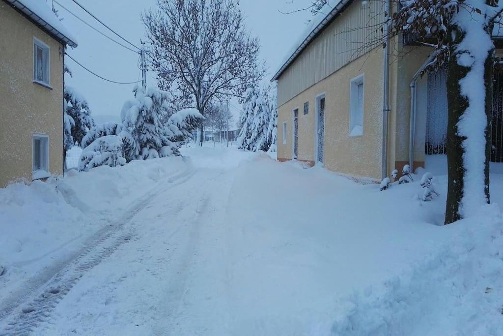 Ferienwohnung In Mittelsaida Grosshartmannsdorf 외부 사진